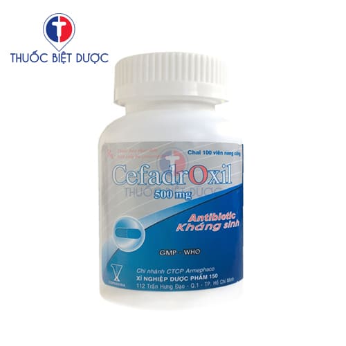 Thuốc Cefadroxil 500mg Armephaco - Ảnh 2