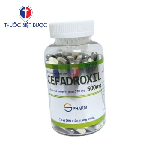 Thuốc Cefadroxil 500mg S.Pharm - Ảnh 2