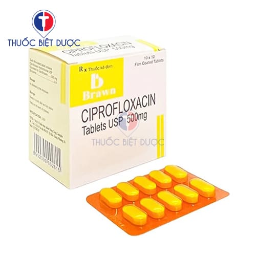 Thuốc Ciprofloxacin Tablets 500mg Brawn - Ảnh 2