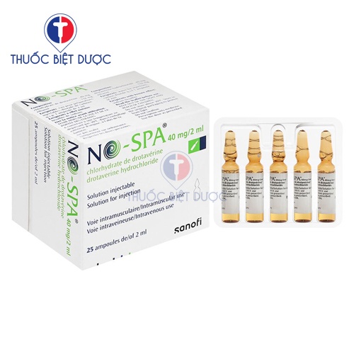 Thuốc No-Spa 40mg/2ml - Ảnh 2