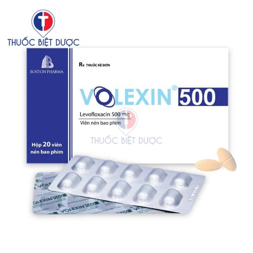 Thuốc Volexin 500 Boston - Levofloxacin - Ảnh 2