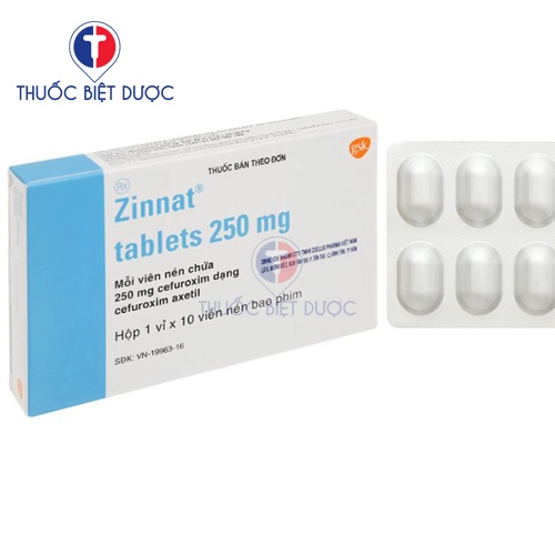 Thuốc Zinnat 250mg - Ảnh 2