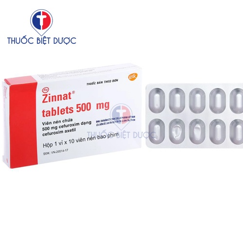 Thuốc Zinnat tablets 500mg - Ảnh 2
