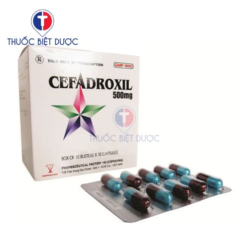 Thuốc Cefadroxil 500mg Armephaco - Ảnh 3