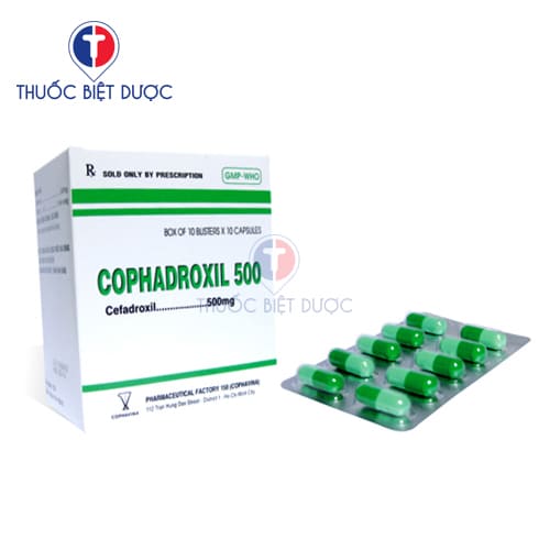 Thuốc Cefadroxil 500mg Armephaco - Ảnh 4