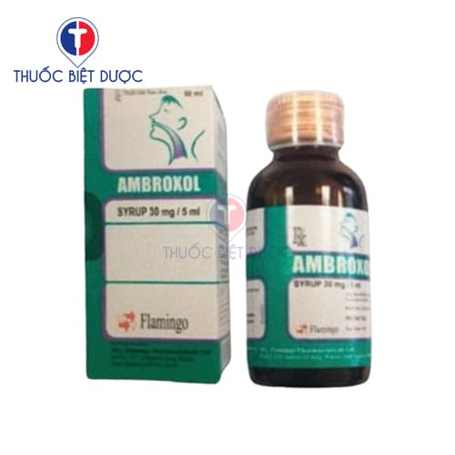 Hình ảnh Ambroxol Syrup 30mg/5ml