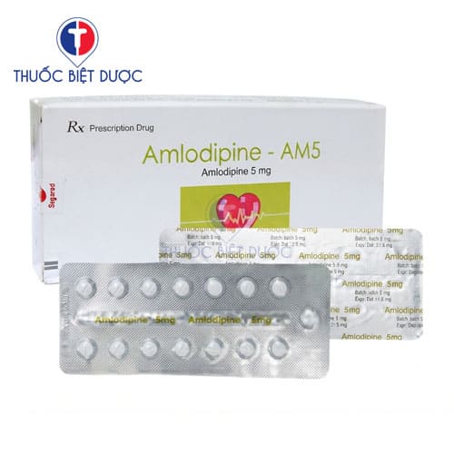Amlodipine AM5
