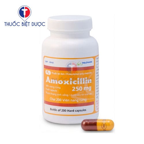 Amoxicillin 250mg