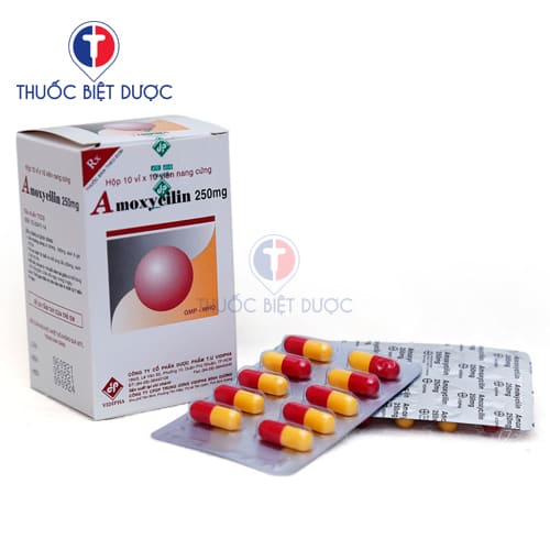 Amoxicillin 250mg