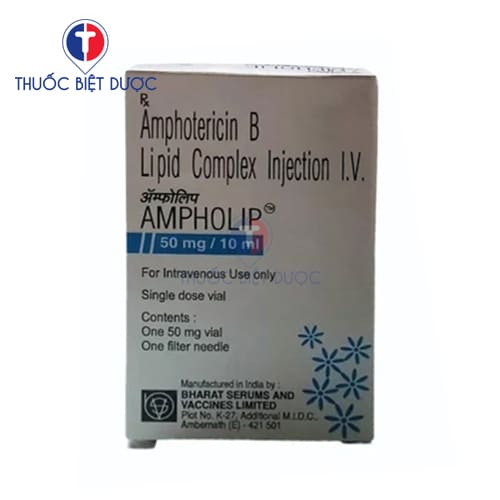Ampholip