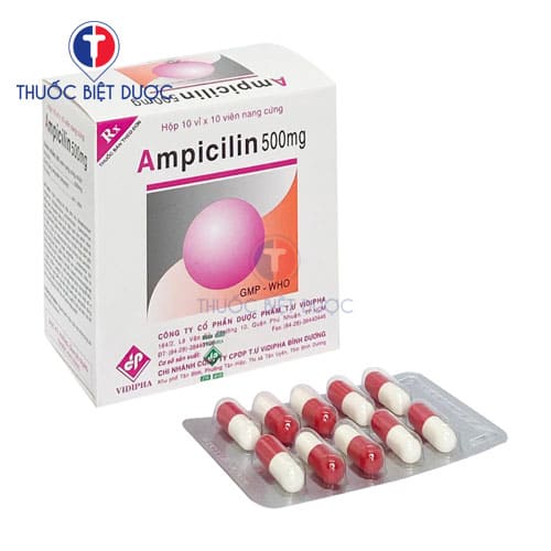 Ampicillin 500mg