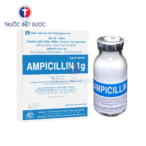 Ampicillin 1g