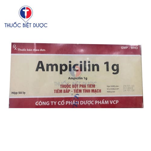 Ampicillin 1g