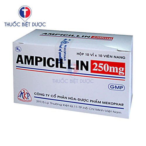 Ampicillin 250mg