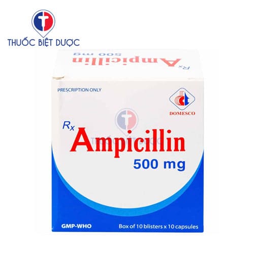 Ampicillin 500mg