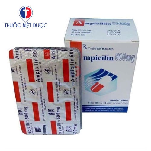 Ampicillin 500mg