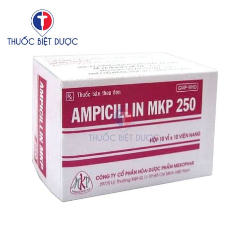 Ampicillin MKP 250