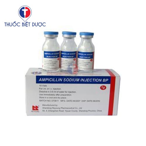 Ampicillin sodium for Injection 1g