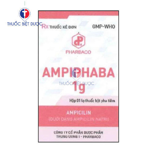 Ampiphaba 1g - Thuốc kháng sinh điều trị nhiễm khuẩn