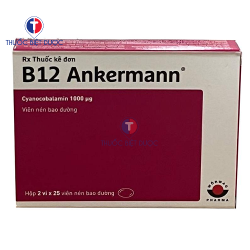 Hình ảnh B12 Ankermann