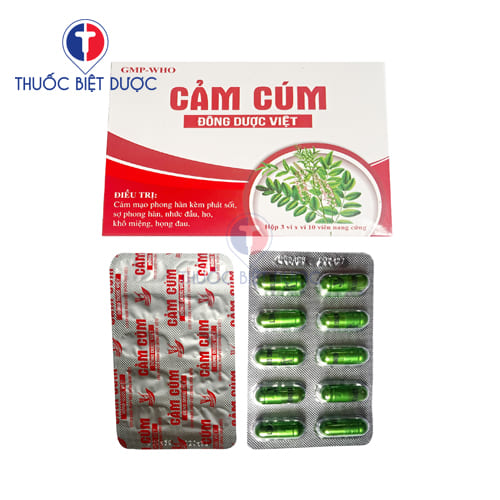 Cảm cúm đông dược việt