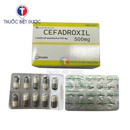 Cefadroxil 500 mg