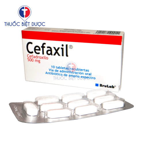Cefaxil 500