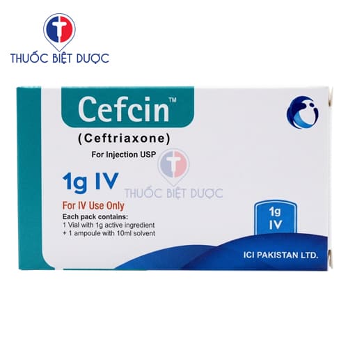 Cefcin 1g