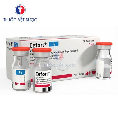 Cefort 1g powder for Injection
