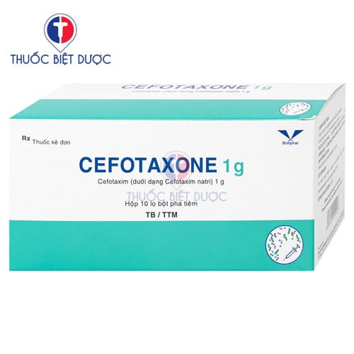Cefotaxone 1g