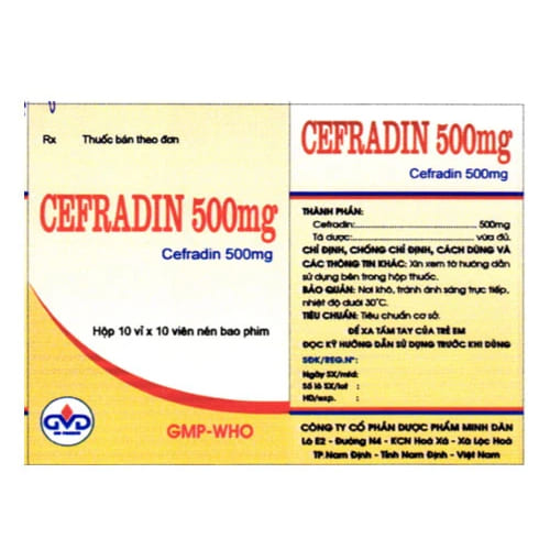 Cefradin 500mg
