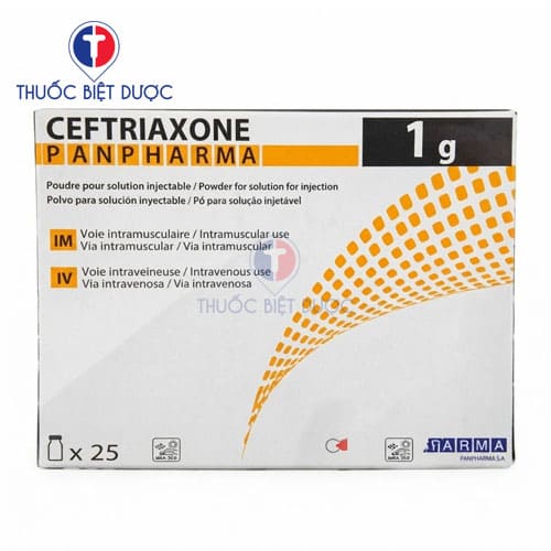 Ceftriaxone panpharma