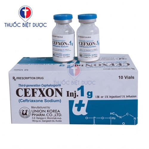 Cefxon Inj.1g