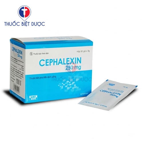 Cephalexin