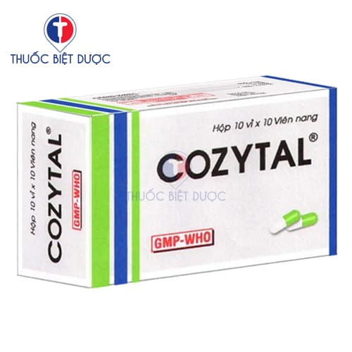 Cozytal