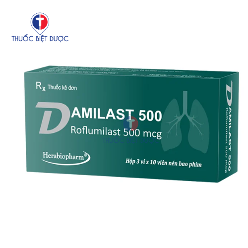 Damilast 500 điều trị duy trì bệnh phổi tắc nghẽn mạn tính