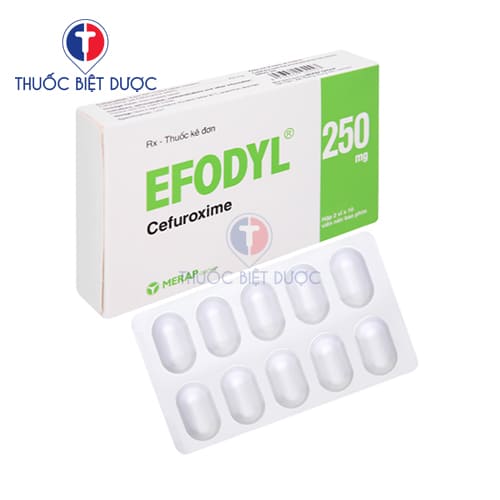 Efodyl