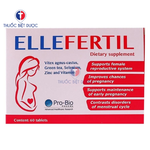 Ellefertil Erbex