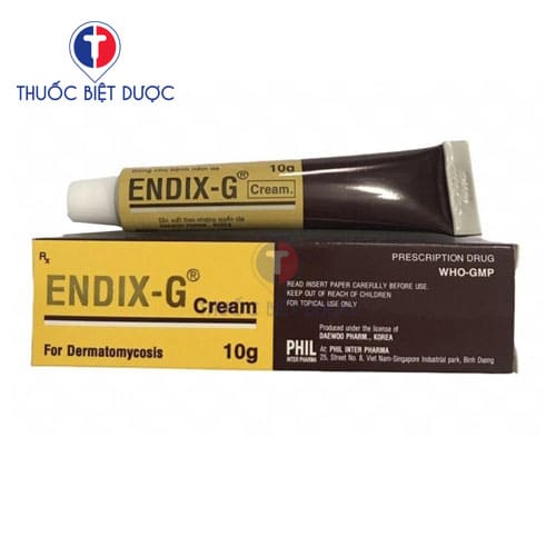 Endixg