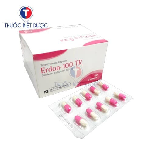 Erdon 100 TR