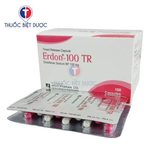 Erdon 100 TR