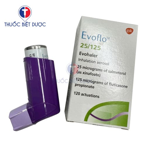 Evoflo Evohaler 25/125mcg