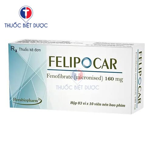 Felipocar