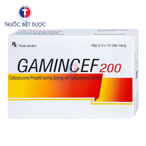 Gamincef 200