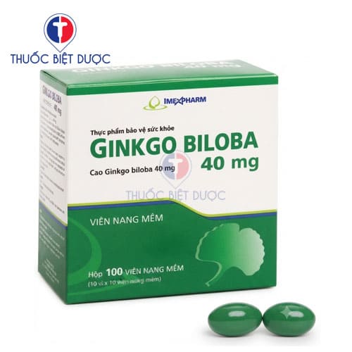 Ginkgo Biloba Ext.40mg