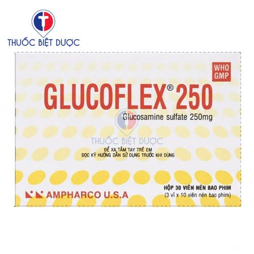 Glucoflex 250 Ampharco