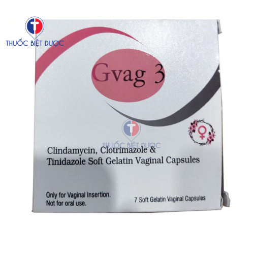 Gvag 3