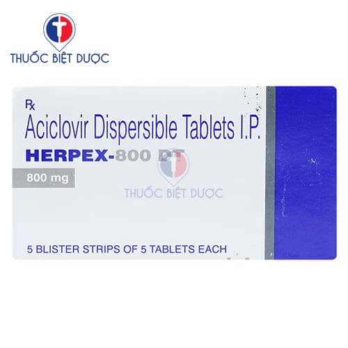 Herpex 800 DT