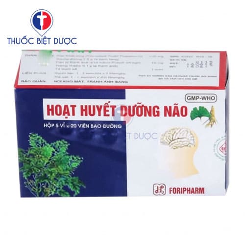 Hoạt huyết dưỡng não