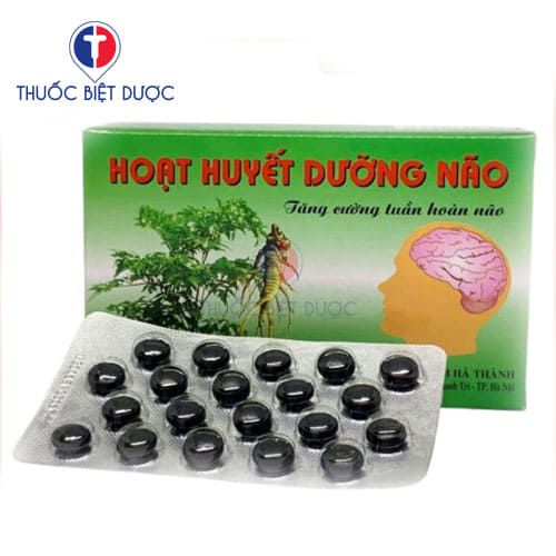 Hoạt huyết dưỡng não